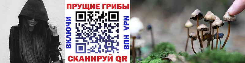 Купить закладки  Рославль  Галлюциногенные грибы MAGIC MUSHROOMS 